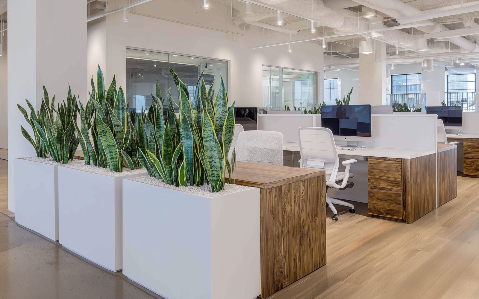 u8347465265_a_modern_office_space_with_white_and_wooden_desks_f_21bfffb8-802c-455f-b730-10897daa9865